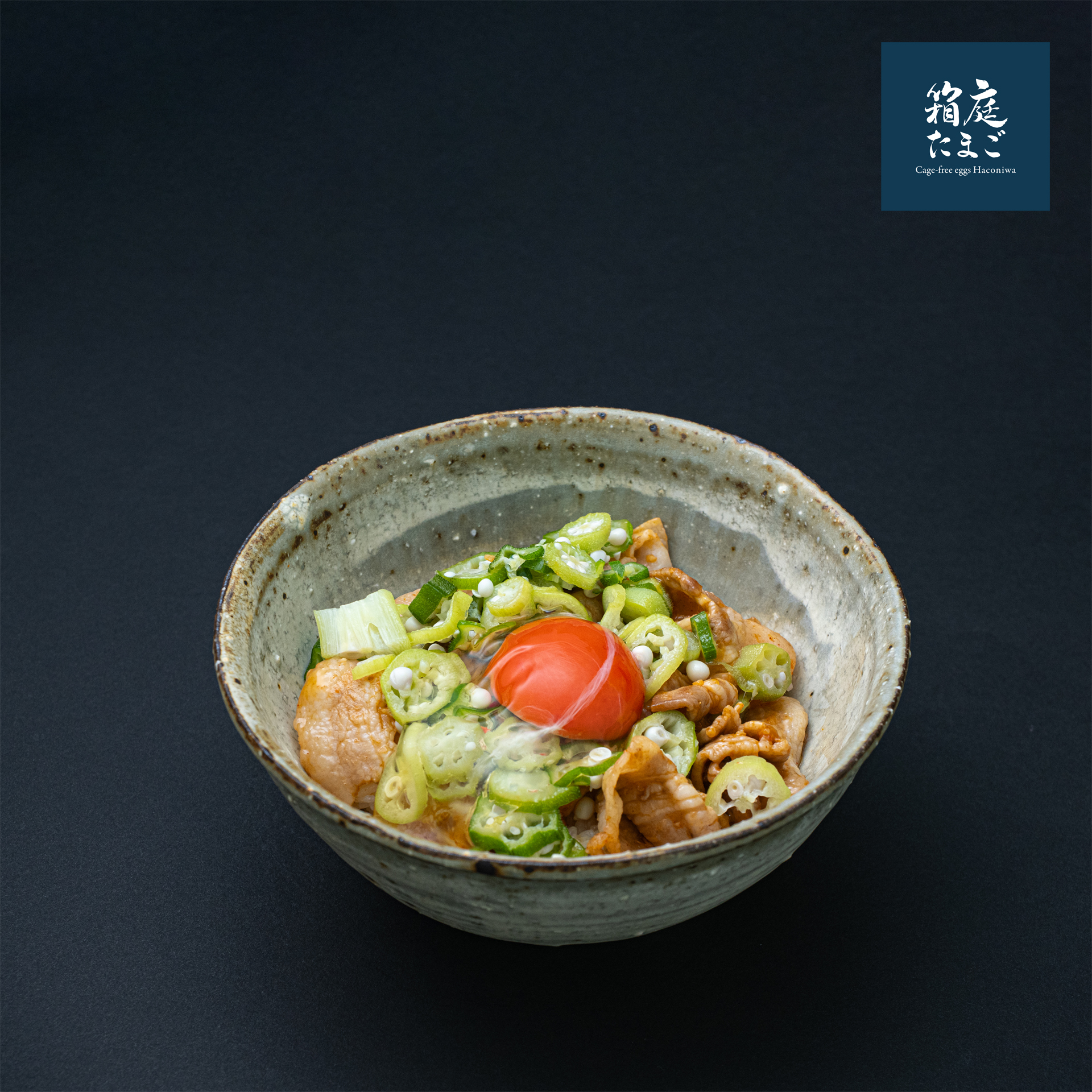 箱庭茜豚丼